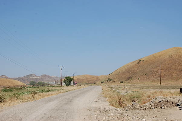 DSC 0307