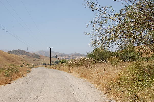 DSC 0053