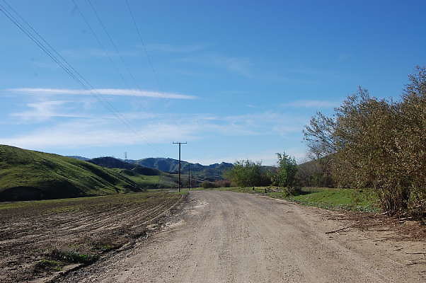 DSC 0429