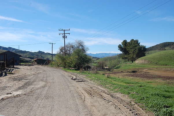 DSC 0436