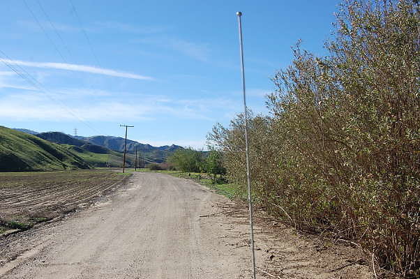 DSC 0427