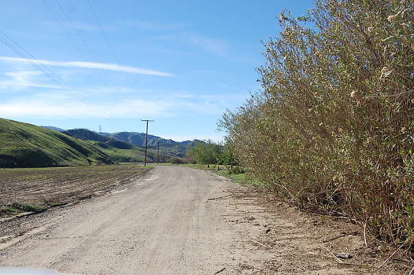 DSC 0428