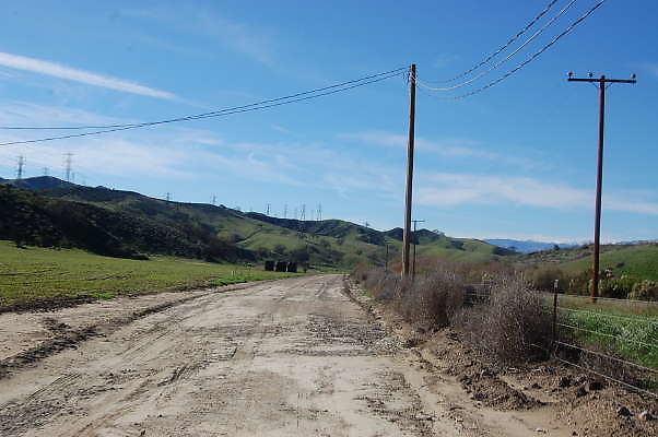 DSC 0441