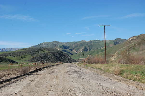 DSC 0447