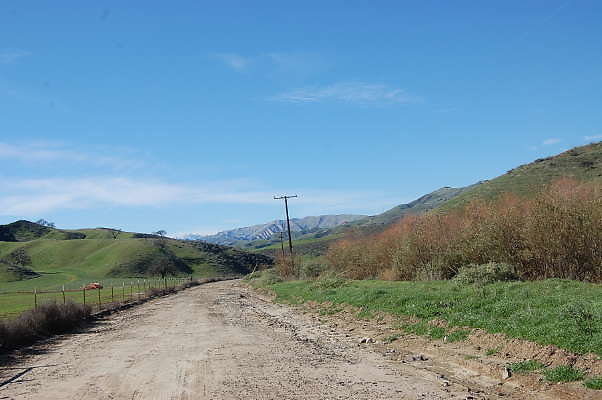DSC 0444