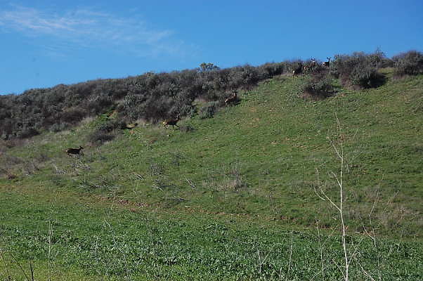 DSC 0476
