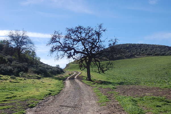 Newhall Ranch.Road to Gate