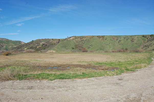 DSC 0456