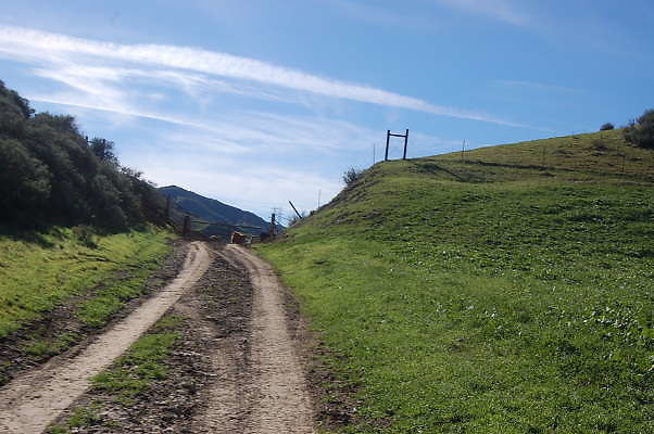 DSC 0485