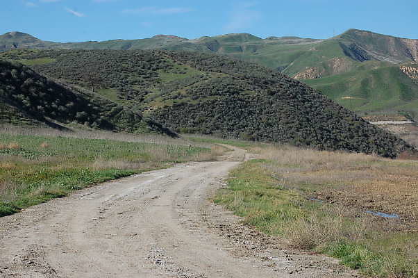 DSC 0460a