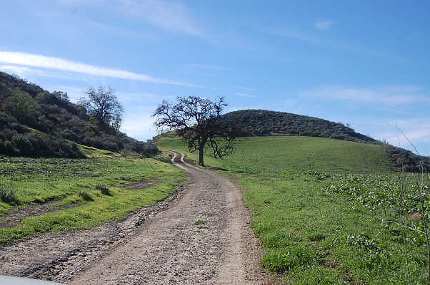 DSC 0482