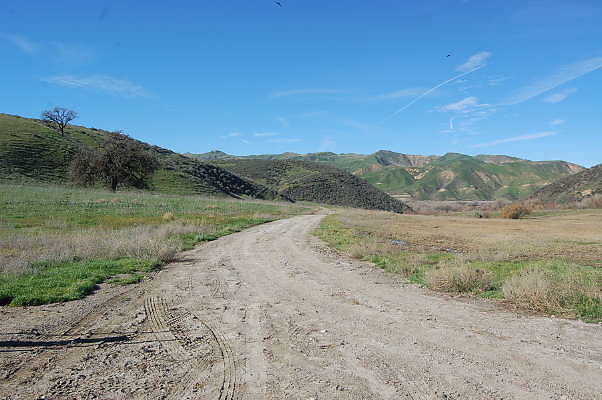 DSC 0455