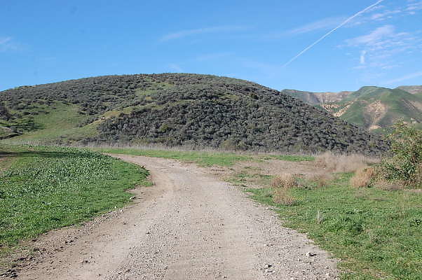 DSC 0466