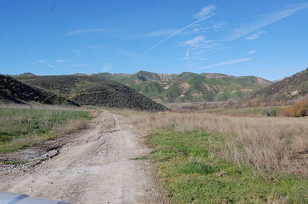 DSC 0462