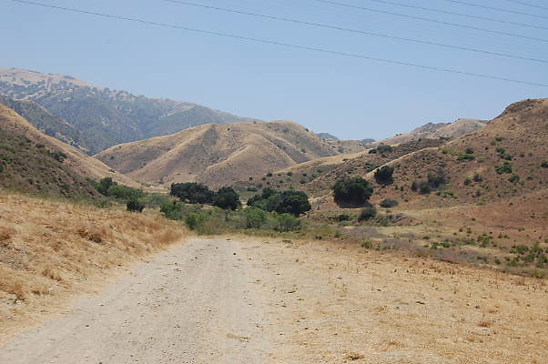 DSC 0112