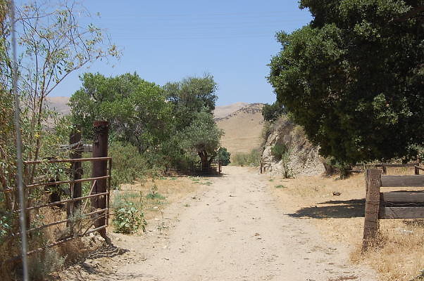 DSC 0238