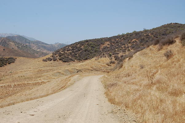 DSC 0100