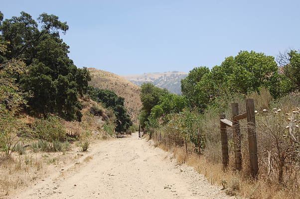 DSC 0118