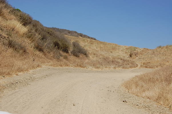 DSC 0258
