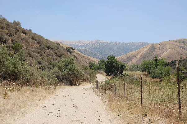 DSC 0116