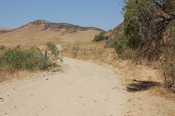 DSC 0243