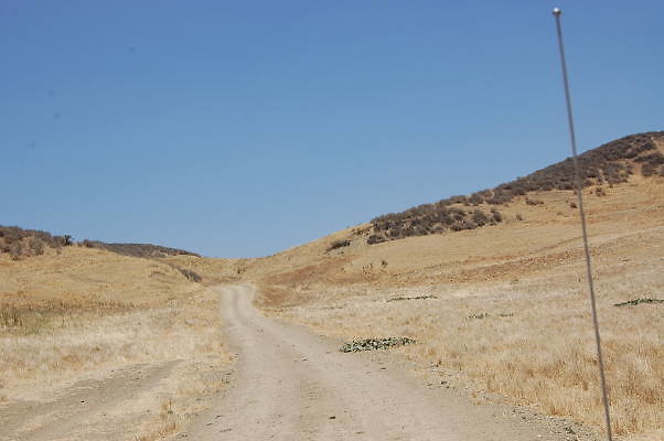 DSC 0255