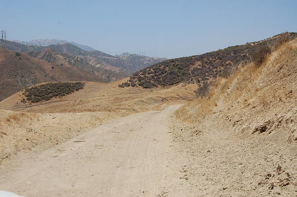 DSC 0098