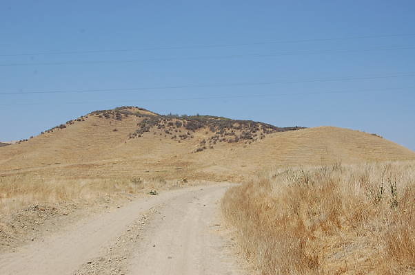 DSC 0248