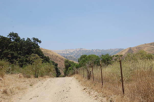 DSC 0117