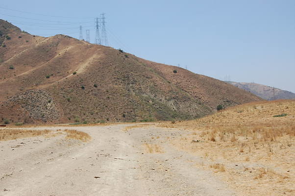 DSC 0111