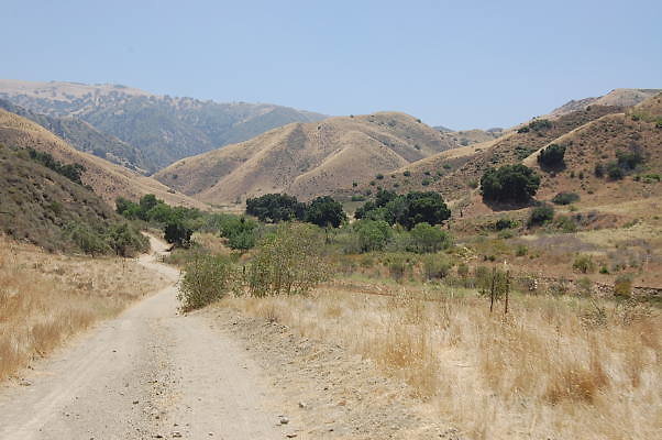 DSC 0113