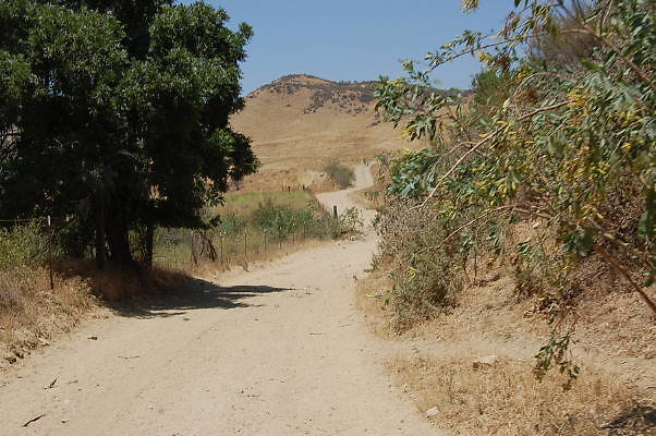 DSC 0242