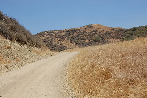 DSC 0260