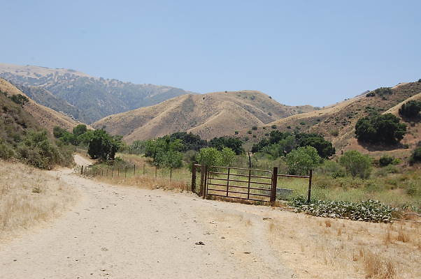 DSC 0115