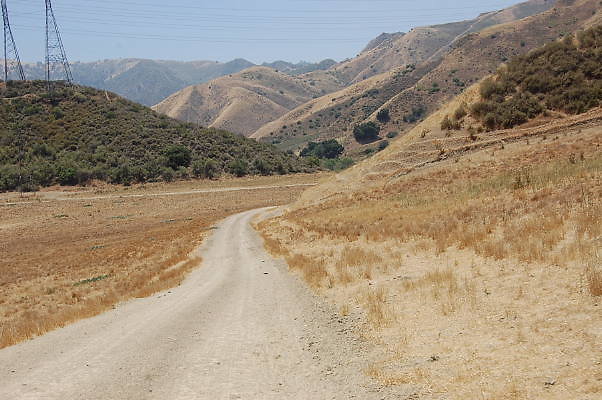 DSC 0107