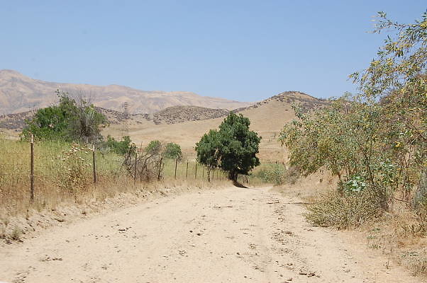 DSC 0241