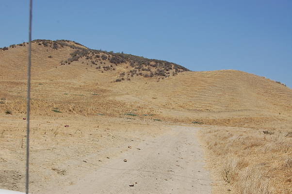 DSC 0250