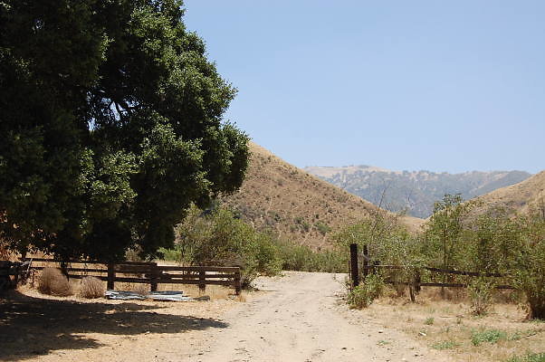 DSC 0121