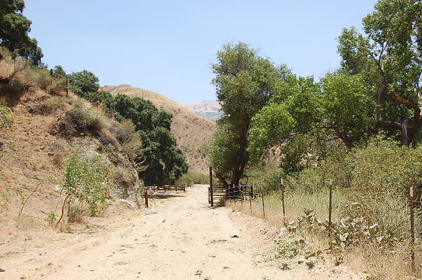 DSC 0119