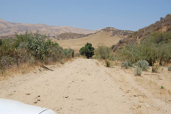 DSC 0240