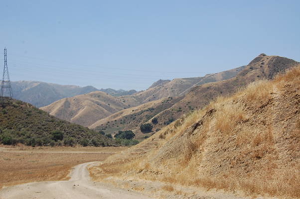 DSC 0104