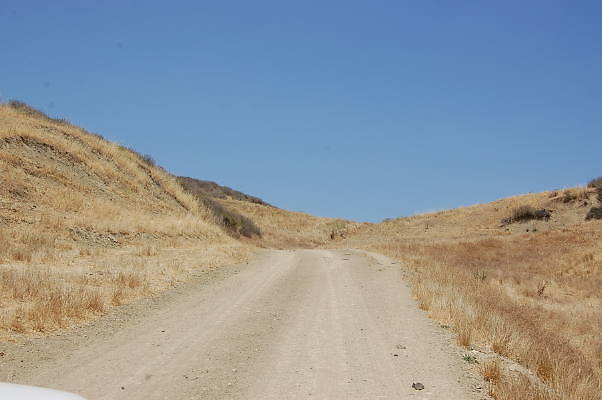 DSC 0257