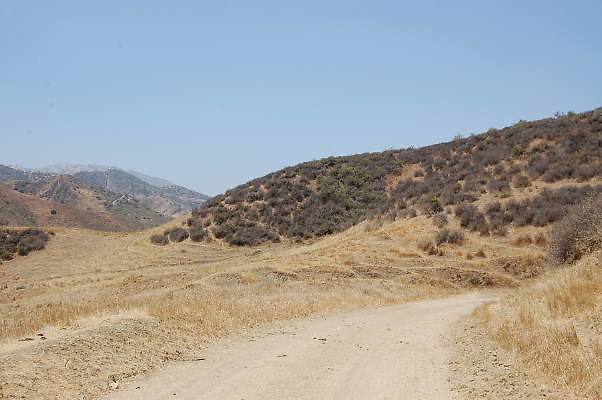 DSC 0101