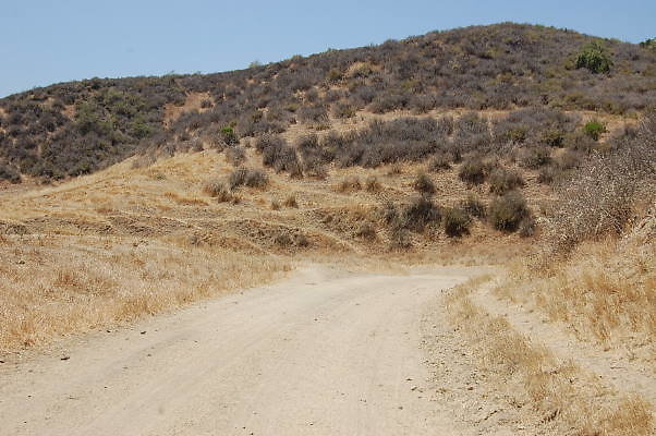 DSC 0102