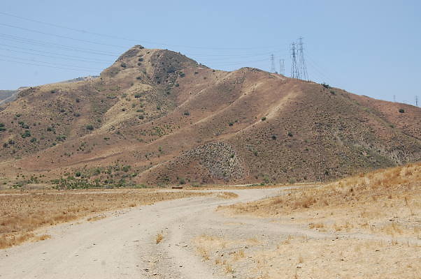 DSC 0110