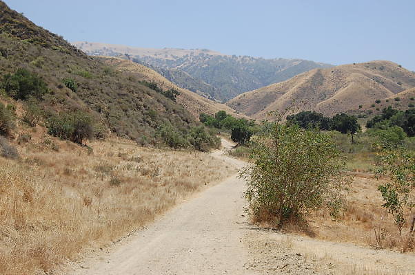 DSC 0114