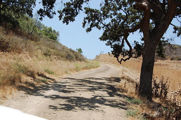 DSC 0094