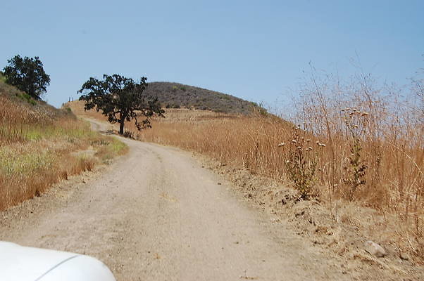 DSC 0092