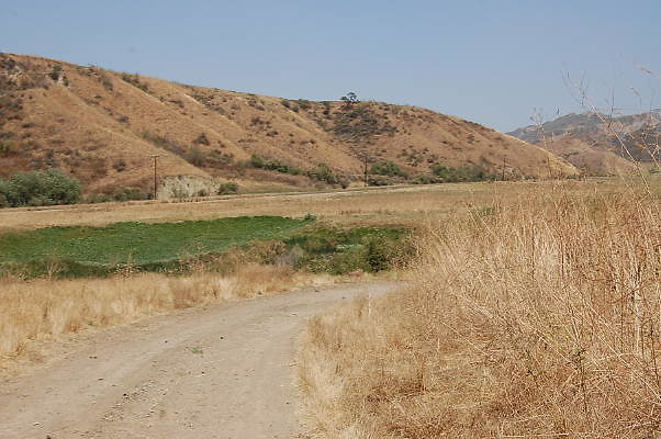 DSC 0279