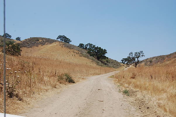 DSC 0084